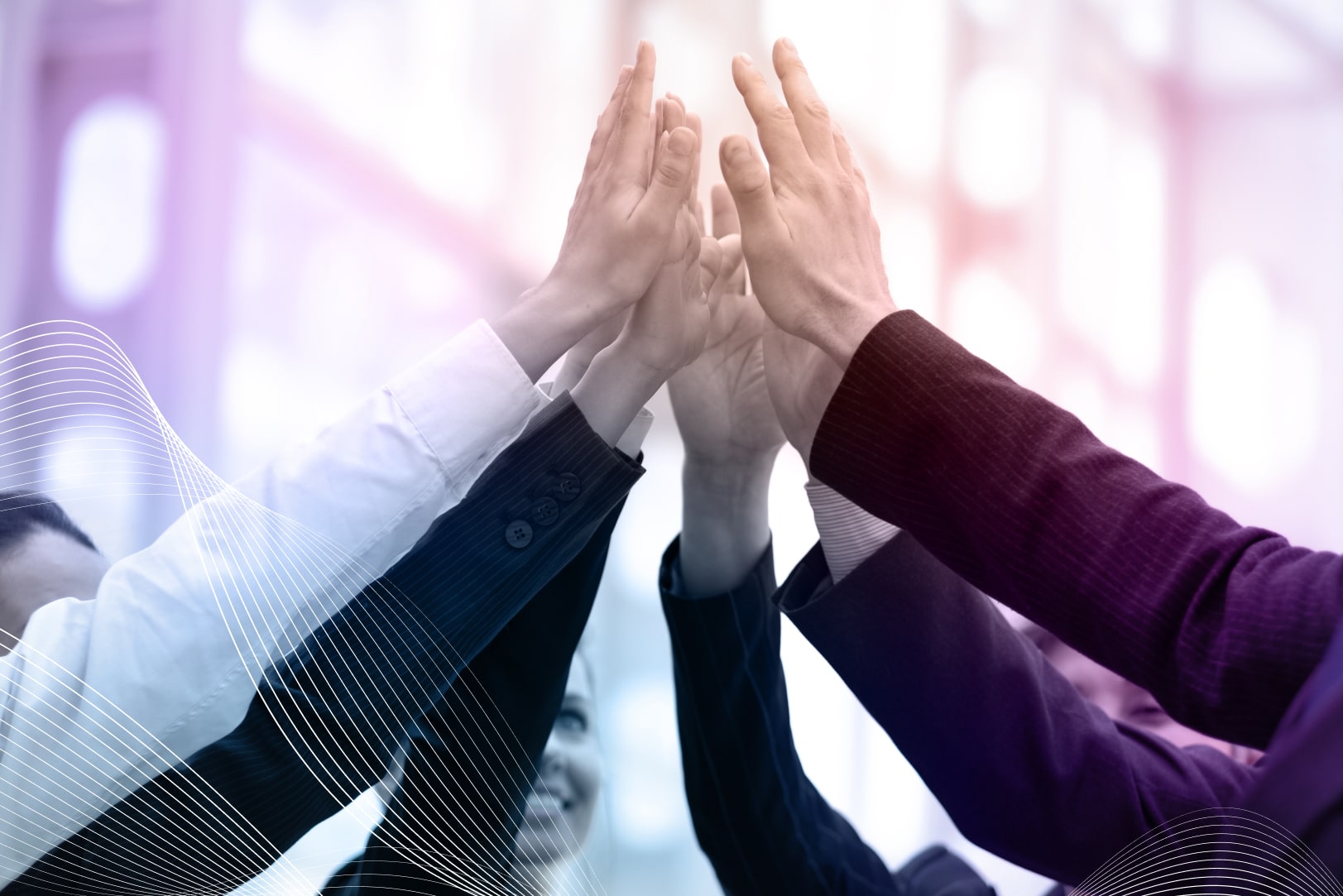 Mentorship for business growth